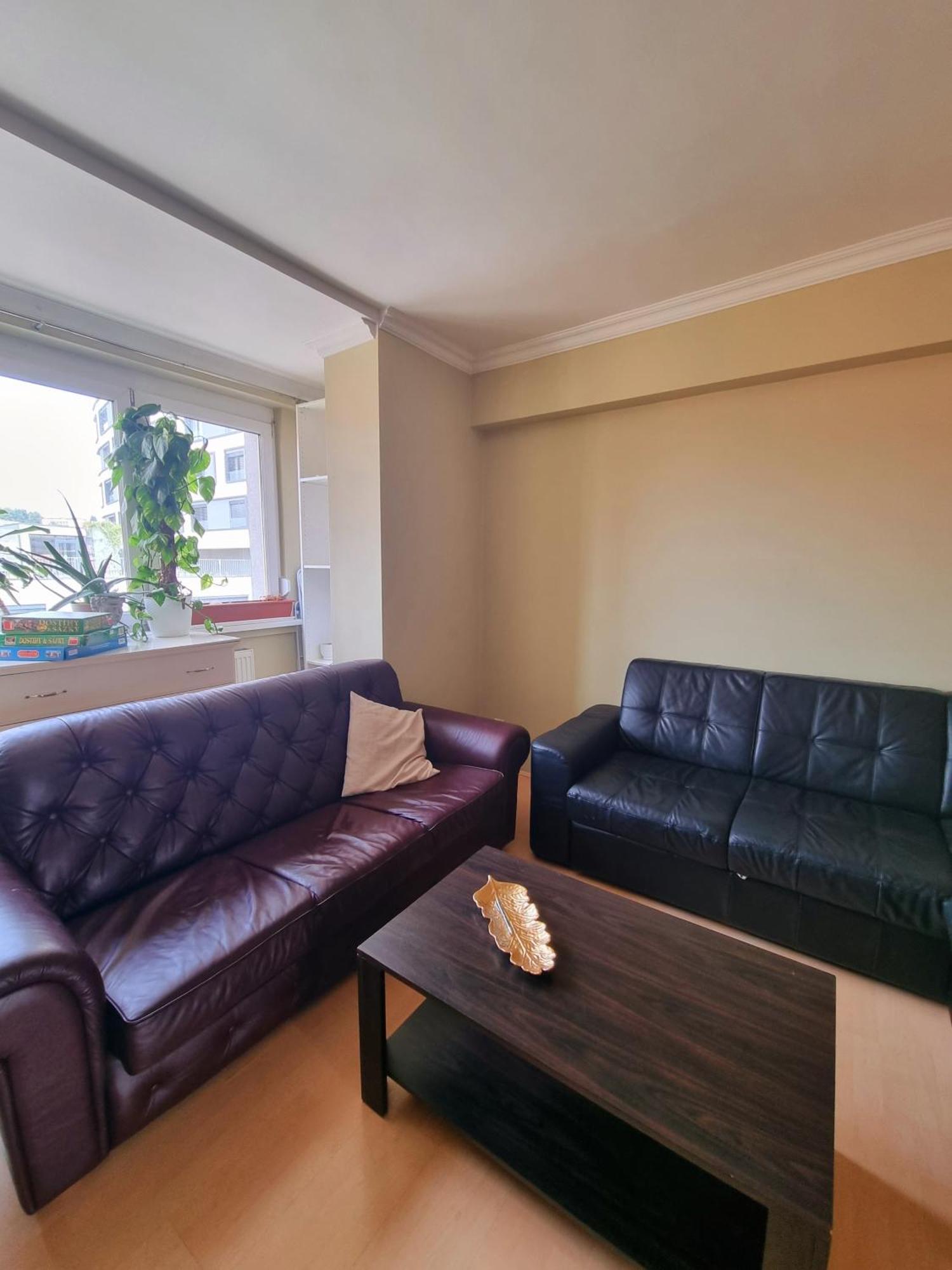 Big 4 Room Huge Apartment Bratislava Ngoại thất bức ảnh